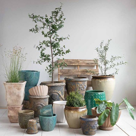 Pots & Planters