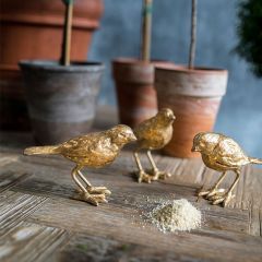 Cast Iron Bird Figurine Set of 3