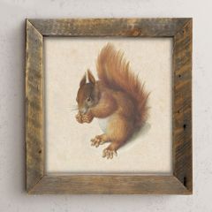 Rustic Framed Vintage Squirrel Wall Art