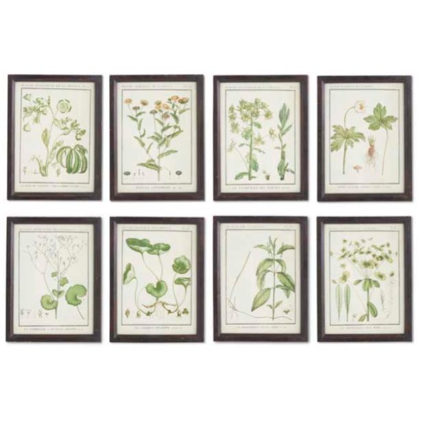 Assorted Framed Botanical Prints Set of 8 | Antique Farmhouse