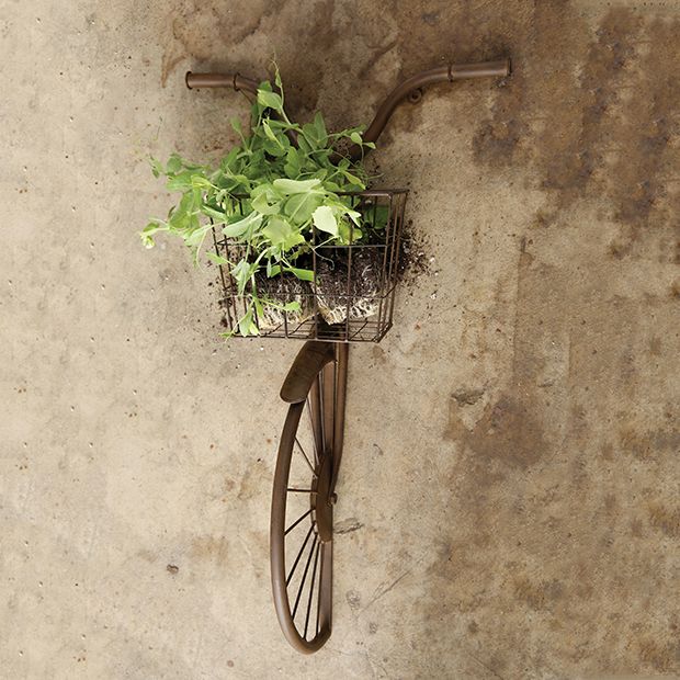 Iron Bike Wall Decor With Basket | Antique Farmhouse